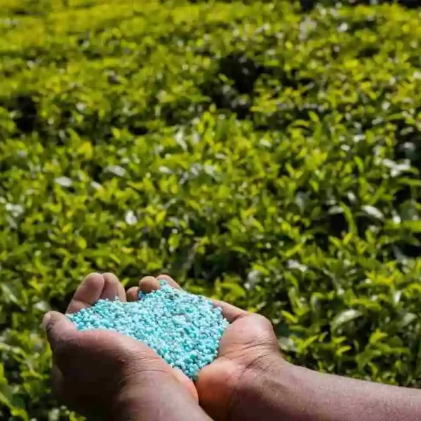 Empresa-de-venta-de-productos-abonos-y-fertilizantes-FVM-Asesores(1) Asesoría laboral para Empresa de venta de productos abonos y fertilizantes - FVM Asesores Las Rozas de Madrid